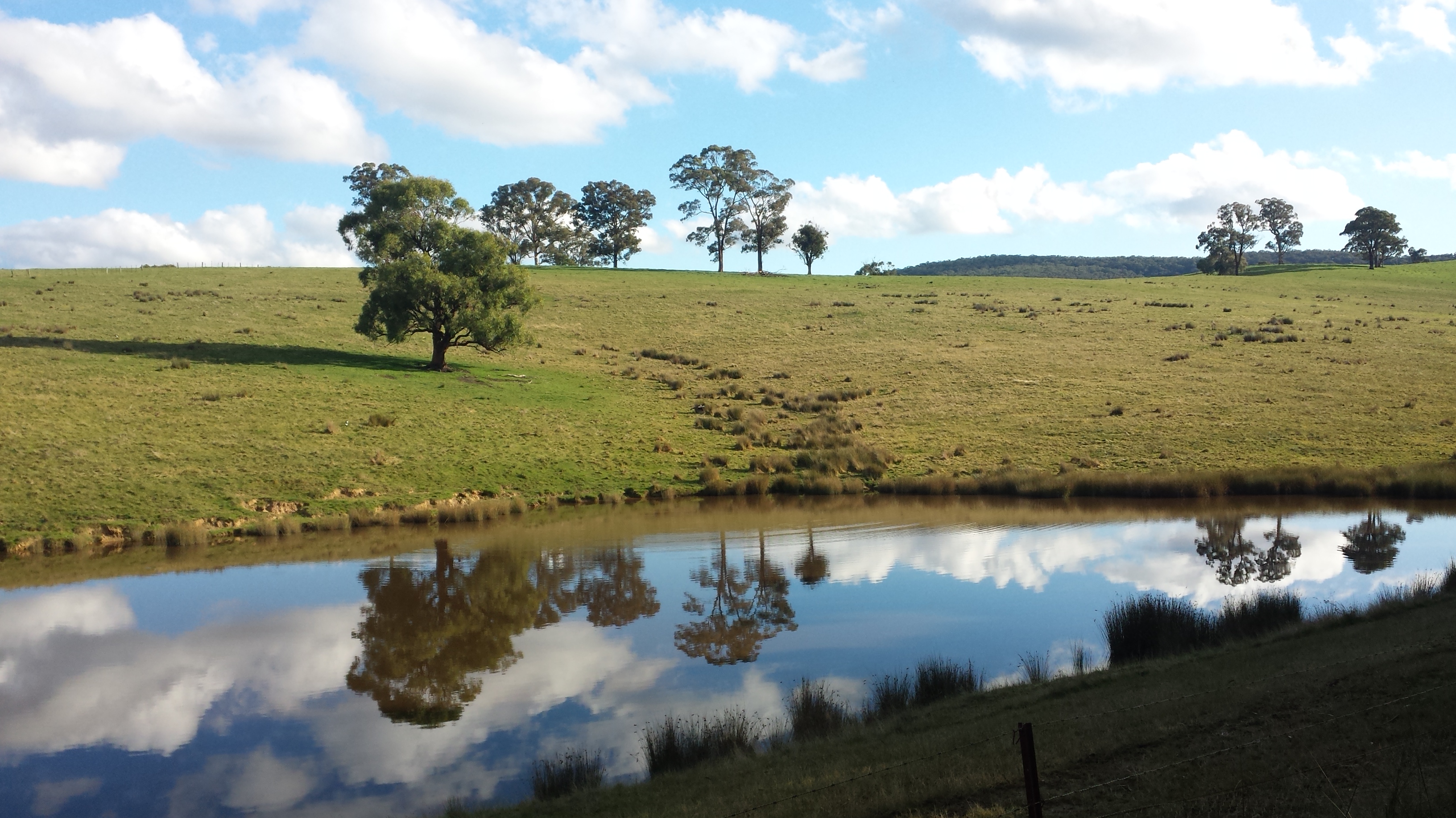 Green hills, dam with reflections of trees, blue sky and white
clouds