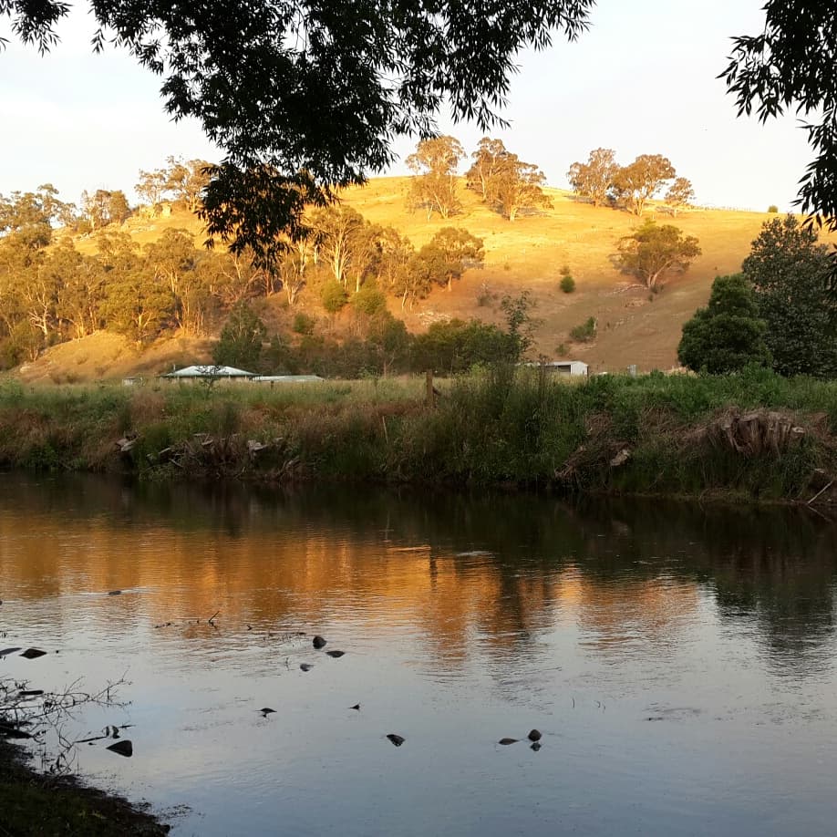 Dargo river in evening light