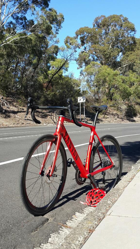 new red bike on Kew Boulevard