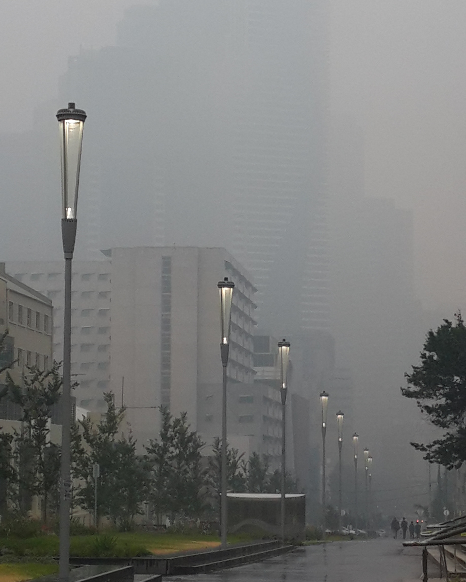 Melbourne shrouded in smoke from bushfires